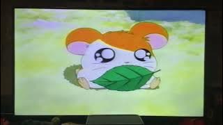 Opening to Hamtaro and the Ham Hams 2002 Vhs