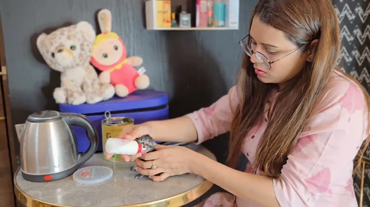 Watch the video about 🍼milk replacer for new born kittens |bengal cats & kittens 😻 #persiancat #kittens #animals #pets