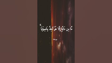 ﴿ إِنِّي تَوَكَّلْتُ عَلَى اللَّهِ رَبِّي وَرَبِّكُم ۚ ....) / القارئ ماهر المعيقلي