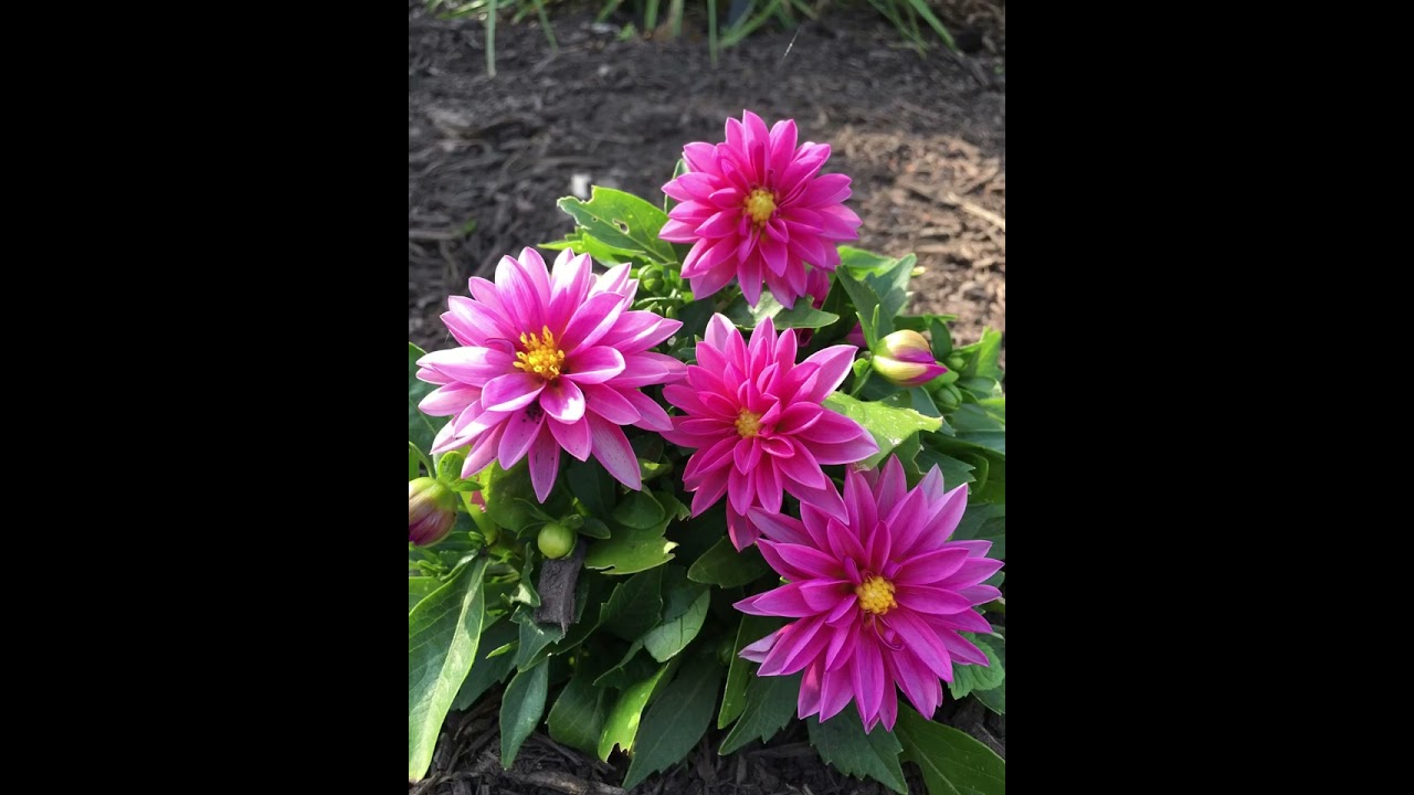 ‪@NatureWonderz21‬