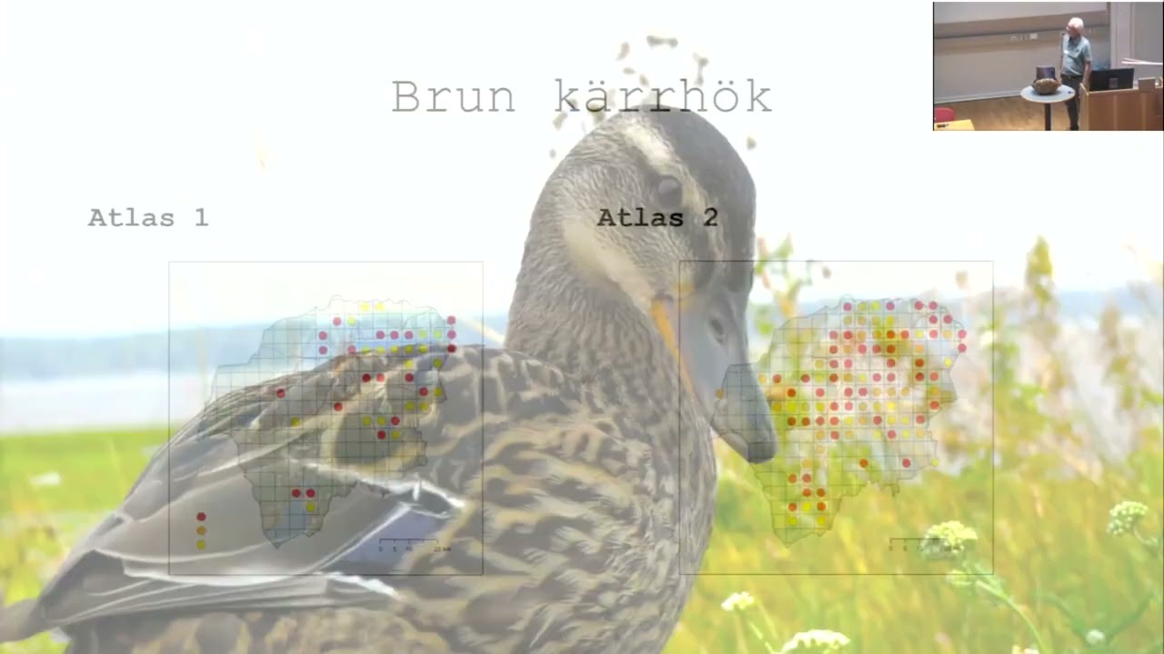 Lägesbeskrivning för länets våtmarksfåglar - Ronnie Lindqvist, NOF - Rosenbergdagarna 2024