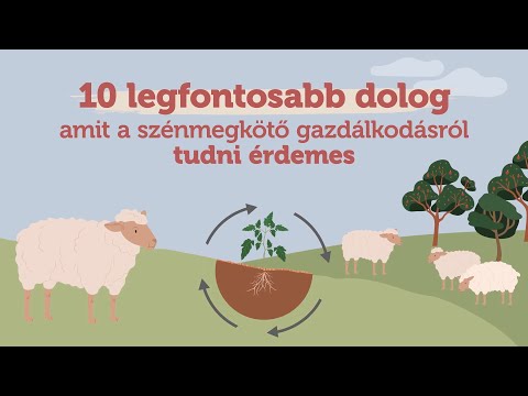 Videó: Top 10 tavaszi takarítás a pet szülőknek