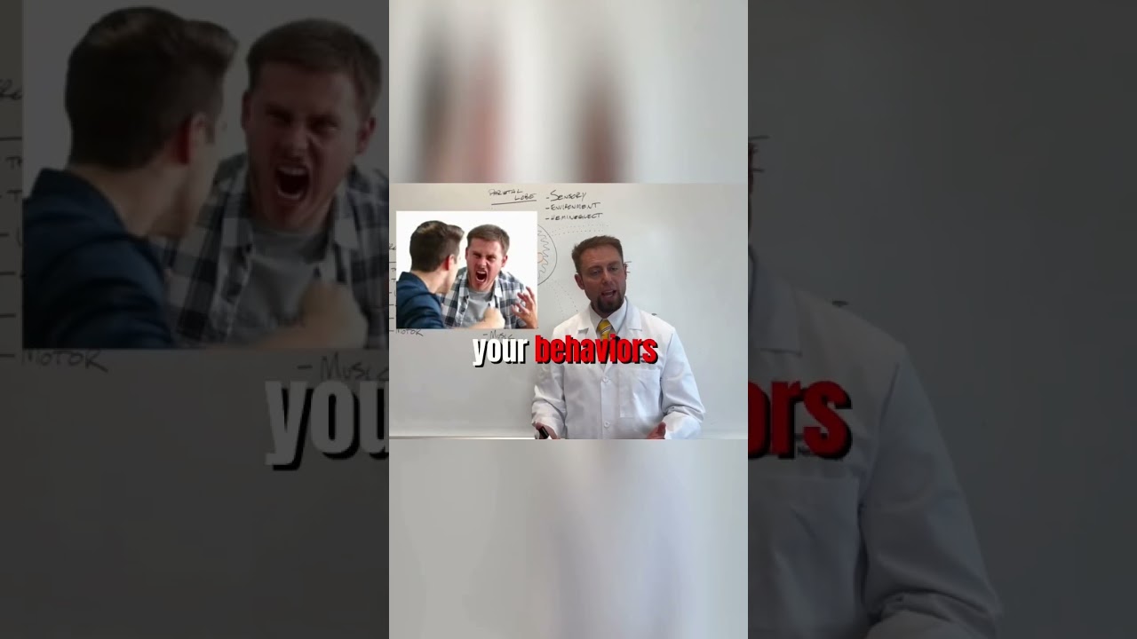 Brain Doctor | Frontal Lobes Function