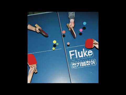 전기뱀장어(ElectricEels) - 적도(Equator)