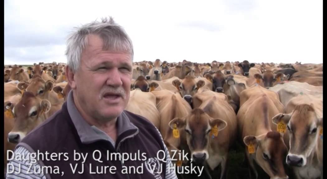 VikingGenetics - Joenkershoek Farm, George, South Africa