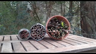 Refugio de insectos para hacer en casa