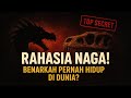Apakah Naga Pernah Hidup di Dunia Nyata? Antara Mitos, Sejarah, dan Fakta Ilmiah