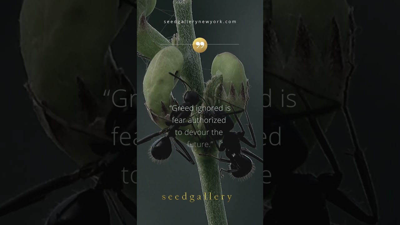 The Consequences Of Not Addressing Greed | Seed Gallery 