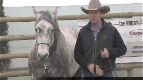 Preparing your Horse For Liberty with Jonathan Field