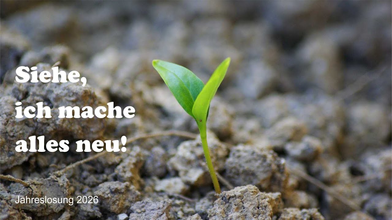 JAHRESLOSUNG 2026 | SIEHE, Ich mache alles neu | Pastor Adilson Fritz ...