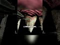 Le jeu où tu deviens dentiste… pour des requins ! #gaming #whattoplay #gamingontiktok #sd1