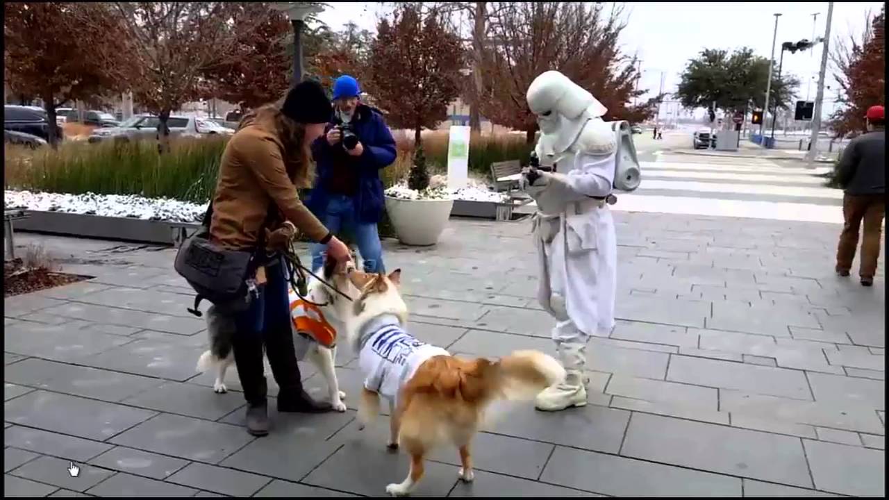 Myriad Gardens hosts successful Stars Wars event, ready for Frozen princesses