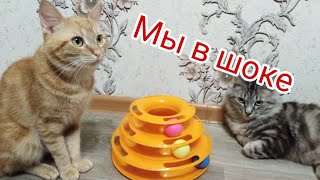 Игрушка для котов // распаковка посылки с AliExpress