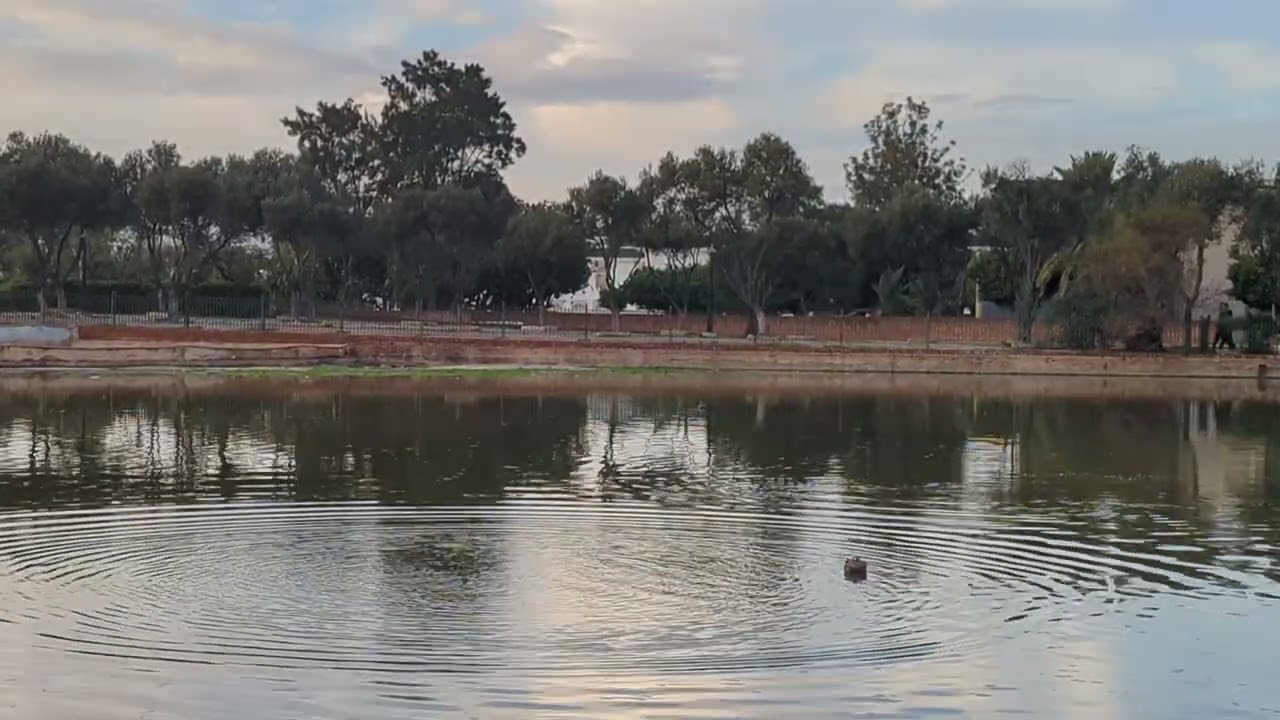 حديقة عين السبع...راحة نفسية الدارالبيضاء المغرب 2026