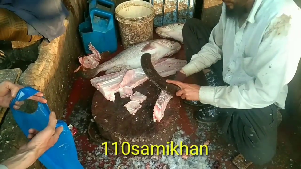 Big Grouper fish Cutting | Giant Grpuper | Gisser Fish | big fish Cutting in Karachi Pakistan
