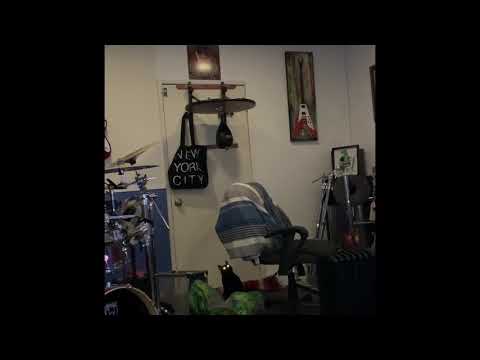 Cat Hitting The Speed Bag