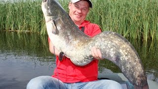 Рыбалка на Днепре. Ловля сома на квок.(Рыбалка проходила в верховье Киевского водохранилища. Целью данного путешествия была поимка сома на квок...., 2016-06-23T10:36:00.000Z)