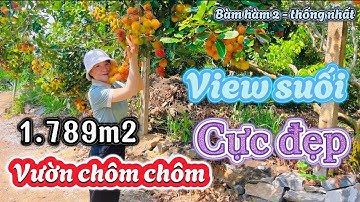 Bán gấp vườn chôm chôm view suối chảy quanh năm, cách quốc lộ 1a 3km sổ hồng riêng, Nhà đất đồng nai