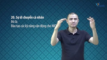 Công ước quốc tế về Quyền của người khuyết tật - Điều 20.4, Sự di chuyển cá nhân