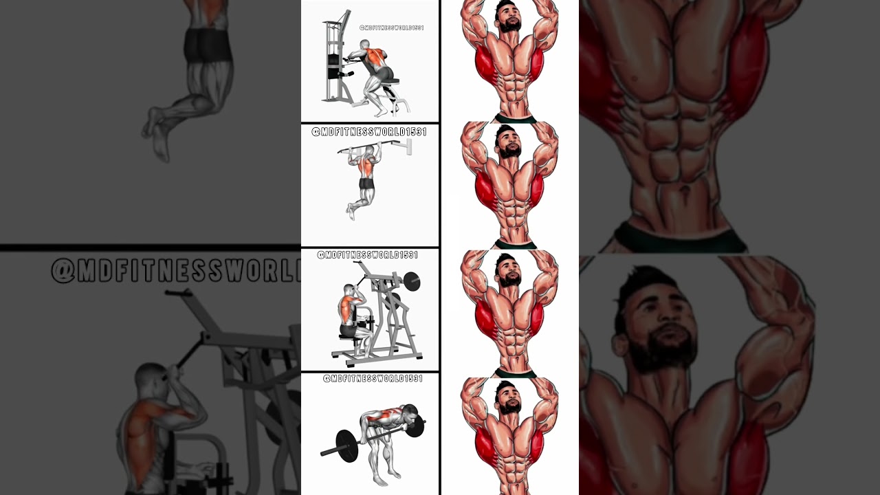 🔥 Ultimate Back Workout Routine for Strength and Size | Best Back Exercises