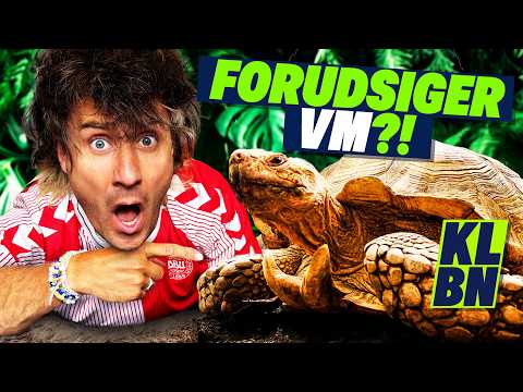 KAN EN SKILDPADDE FORUDSIGE VM? | KLUBBEN