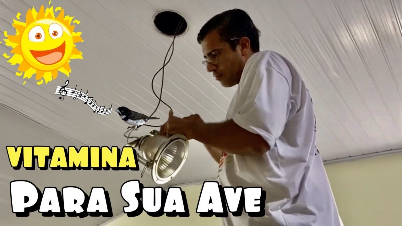 VITAMINA DO SOL / LÂMPADA UVA UVB PARA AVES (DIA A DIA DO CRIATÓRIO)
