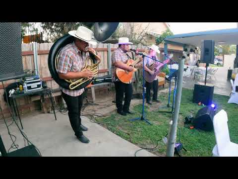 Performance video