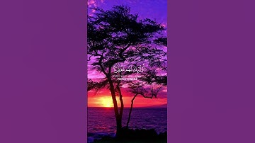 ما تيسر من سورة هود | القرآن الكريم | القارئ ماهر المعيقلي