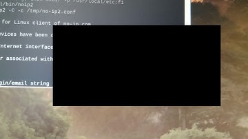 Raspberry Pi 4 VPN How to Install NOIP DUC on Raspbian O.S.