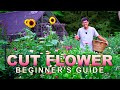 Easy Cut Flower Garden for Beginners, Seed to Bouquet
