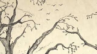 Henry Parker - Silent Spring Lyric Video