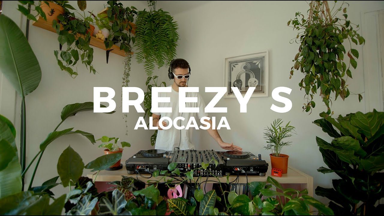 Alocasia TV Barcelona - Breezy S [Dj Set] #balearic #italodisco