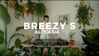 Alocasia TV Barcelona - Breezy S [Dj Set] #balearic #italodisco