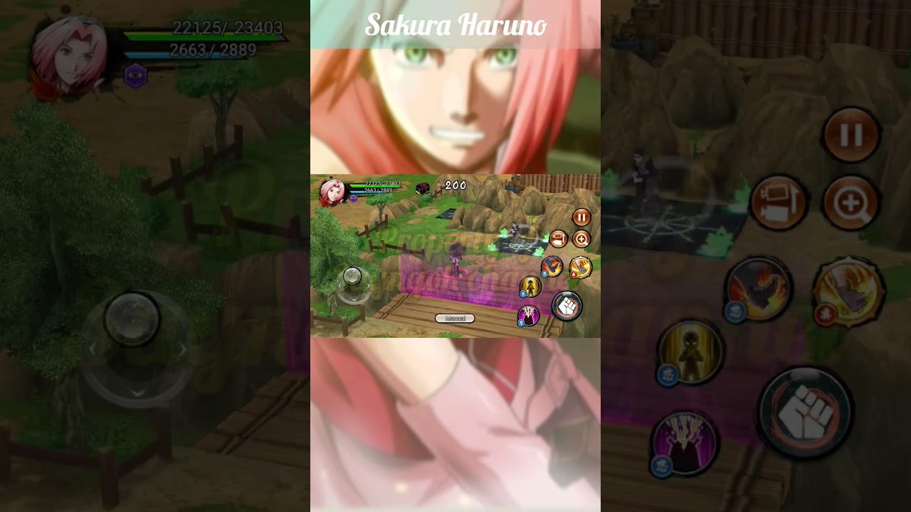 SAKURA HARUNO 