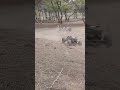 Some of the FASTEST &amp; most EXPENSIVE RCs hitting the sand!