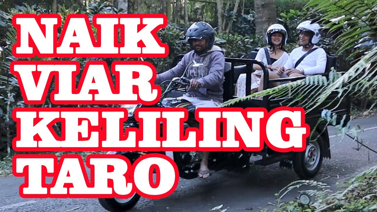 NAIK VIAR KELILING DESA WISATA TARO