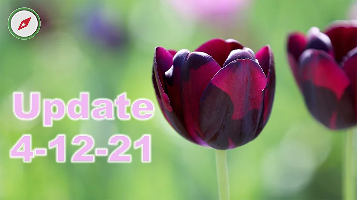 Update 4-12-21