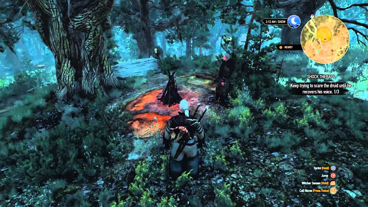 The Witcher 3: Wild Hunt Geralt's a dick