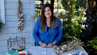 Curing, Storing, and Braiding Garlic  // Garden Answer