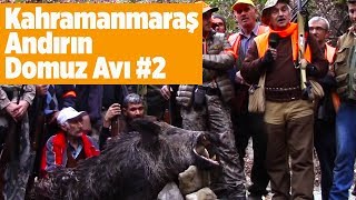 Kahramanmaraş Andırın Domuz Avı 2 Rastgele Ali Birerdinç  Wildboar Hunting Turkey Yaban Tv