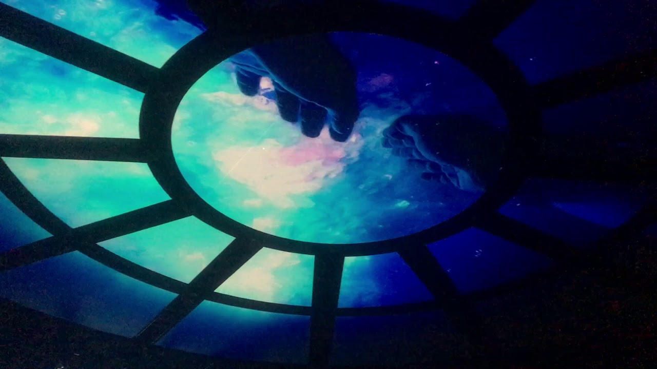 THE HOUSE OF LOVE Fade away YouTube Music