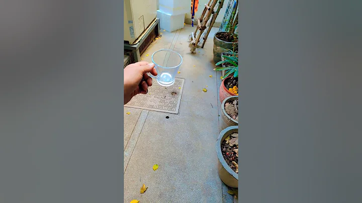 Most Controversial Cracked Glass Design#shorts