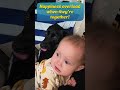 Baby laughing because of black dog sister #happybaby #babygiggles #blacklab #doglover #blackdog