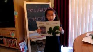 8-30-12 Gigi's (Practice) Presentation on Deciduous & Evergreen leaves