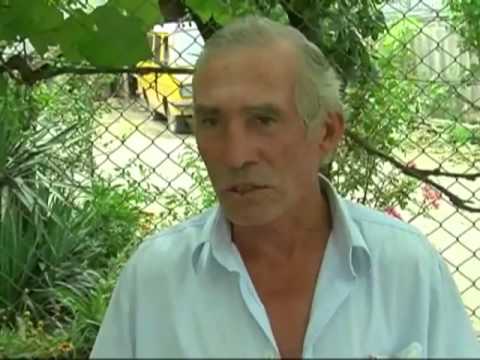 მინდვრის კაცი