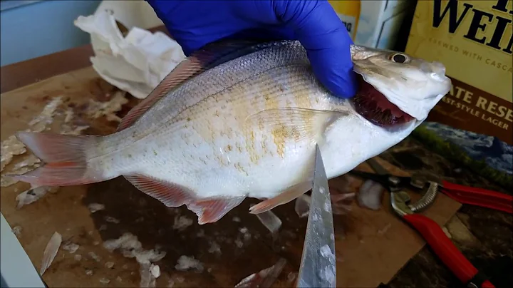How to clean a whole fish - how to scale a fish