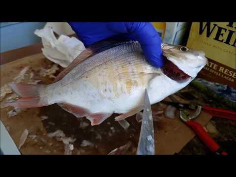 Video: How To Clean Fish