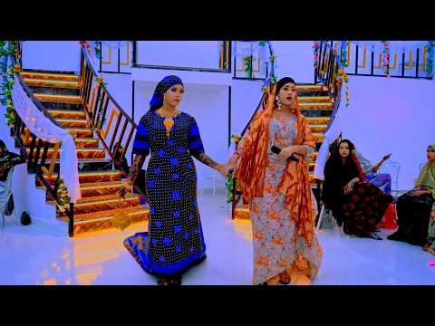 NASTEEXO DAYAX | GALBIS | BEST AROOS SONG 2026