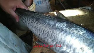 أعداد وتنظيف وتقطيع سمكة دراك king fish spanish mackerel Wahoo fish ونصائح للتخلص من الزفارة