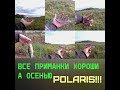 В Пермском Крае Много Окуня ? ЛОВИМ!!! Вместе с Crazy Fish и Рыбалика